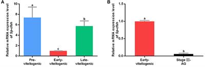 DNA Methylation Inhibits the Expression of CFSH in Mud Crab